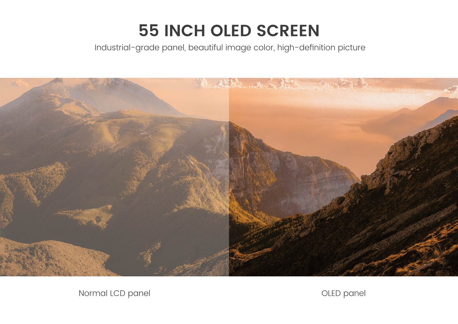 شفاف OLED اسکرین ڈسپلے (4)